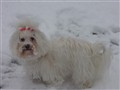 131209 maya 003.JPG